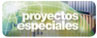 proyectos especiales